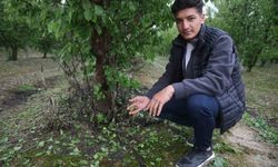 Çevreyi beyaza bürüyen fındık büyüklüğündeki dolu tarım arazilerini vurdu