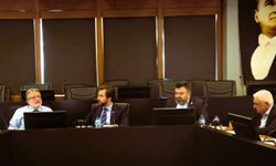 DENİB'in yeni yönetim kurulu görev dağılımını yaptı