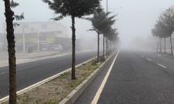 Diyarbakır'da sis etkili oldu