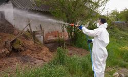 Düzce'de daha uçmadan bitirmek için mücadele başladı