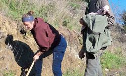 Edremit'te Kazdağı Bal Ormanına uluslararası ilgi