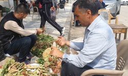 Elazığ'da bahar otları tezgahlarda yerini aldı