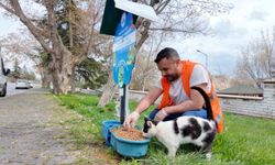 Elazığ'da sokak hayvanlarına mama desteği sürüyor