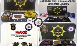 Elazığ'da uyuşturucu operasyonu: 30 tutuklama