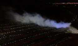 Erzincan'da 1450 rakımda don nöbeti: Üreticiler ürünlerini dumanla korudu