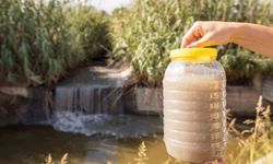 Gediz Havzası'nda kirlilik artıyor