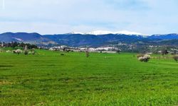 Gediz'de bahar aylarının getirdiği güzellik büyülüyor