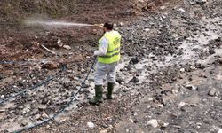 Hatay Büyükşehir Belediyesi haşereyle mücadele çalışmalarına devam ediyor