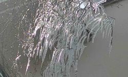 Hava sıcaklığı eksi 10'a düştü, ağaç dalları dondu