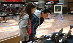 'İl İl Türkiye Sergisi' Diyarbakır'da sanatseverlerle buluştu