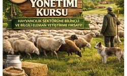 Karacasu'da sürü yönetimi kursu başlıyor
