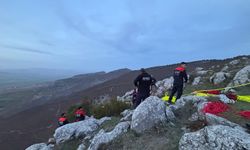 Kayalıklarda mahsur kalan keçiyi arama kurtarma ekipleri kurtardı