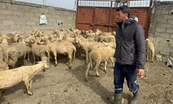 Kurbanlık parasıyla evlenmişti şimdi doğacak bebeği için kullanacak