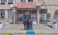 Mardin'de 50 yıl cezası bulunan 2 firari yakalandı