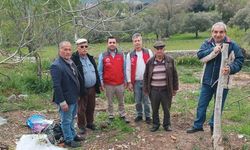 Menteşe'de çiftçiye uygulamalı eğitim