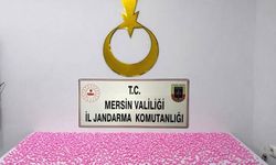 Mersin'de uyuşturucu haplarla yakalanan 2 şüpheli tutuklandı