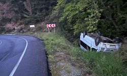 Minibüs yoldan çıktı: 2 yaralı