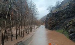 Munzur Nehri taştı, Tunceli-Ovacık yolunda ulaşım durduruldu