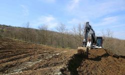 Nilüfer'de atıl araziler bereketleniyor