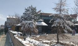 Özalp'ta nisan karı etkili oldu