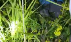 Şanlıurfa'da kayalıklarda mahsur kalan 2 küçük kardeş kurtarıldı