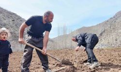 Şırnaklı çiftçi devlet desteğiyle bütün arazisine meyve fidanı dikti