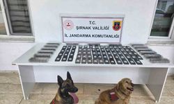 Şırnak'ta jandarmadan asayiş, kaçakçılık ve narkotik operasyonu