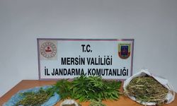 Uyuşturucu taciri yakalanıp tutuklandı