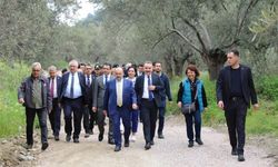 Vali Ustaoğlu, antik kenti gezerek sikke basıp sabun yaptı