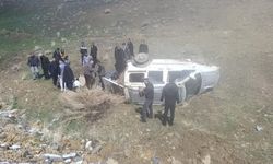 Van'da kamyonet şarampole devrildi: 4 yaralı