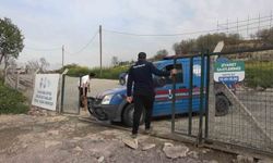 Yalova'daki barınakta köpek ölümleriyle ilgili soruşturma