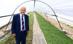 Başkan Güler: 'Kendi ürettiğimiz çiçekler ile şehrimizi güzelleştiriyoruz'