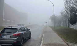 Bolu'da sis görüş mesafesini düşürdü