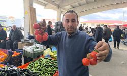 Domates fiyatlarının yüksek olmasının sebebi soğuk hava