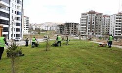 Elazığ'da kent genelinde yeşil alan çalışmaları sürüyor