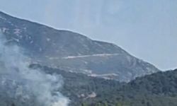 Fethiye'de orman yangını