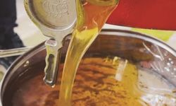 Gazipaşa'da çiçek balı hasadı başladı