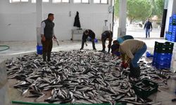 Muğla ihracatta Ege Bölgesi'nde 4'üncü il