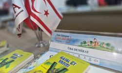 Niğde'de görev yapan öğretmen Ülkü Demiray, Türk Dünyası Çocuk Edebiyatı Çalıştayı'nda Türkiye'yi temsil etti