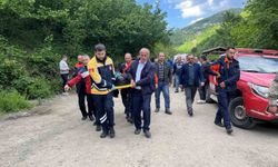 Ordu'da şelale göletine giren çocuk boğuldu