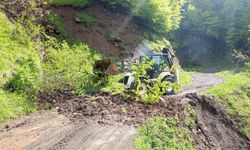 Ordu'da yağışların ardından 120 noktada heyelan