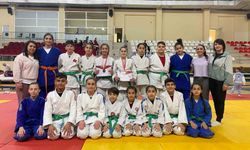 Salihlili judocular, Bilecik'ten madalyalarla döndü