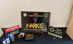 Şırnak'ta 7 milyon 450 bin liralık kaçak ürün ele geçirildi