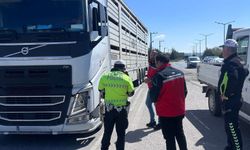 Uşak'ta hayvan sağlığı ve halk sağlığı için denetimler sürüyor