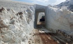 Yüksekova'da 8 metrelik kar tünelleri: İş makinesi içinde kayboldu
