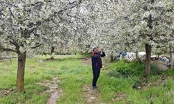 Zirai don uyarısı yapılan bölgelerde hasar tespit çalışması yapıldı