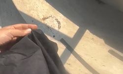 Havuza tesettürlü mayo yasağında 1 gözaltı