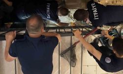 Merdiven boşluğuna sıkışan kedi merdiven ve fayans kırılarak kurtarıldı