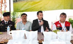 Akdeniz'de meyve sineğiyle mücadeleye ilaç desteği