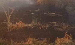 Anız yangını tarım arazileri ve ormanlık alana sıçramadan söndürüldü